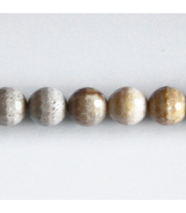 BeauMonde Bijoux - Jaspe fossile 10 mm environ perle ronde facettée Indonésie