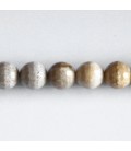 Jaspe fossile 10 mm environ perle ronde facettée Indonésie
