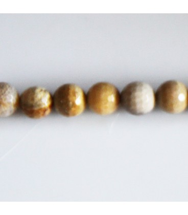 BeauMonde Bijoux - Jaspe fossile 8 mm environ perle ronde facettée Indonésie