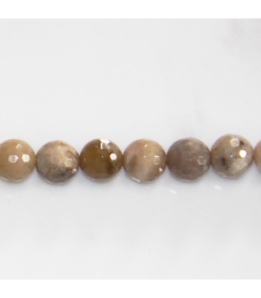 Agate 8 mm ocean fossil round faceted - BeauMonde Bijoux