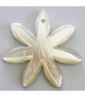 Nacre blanche 39/40 mm fleur marguerite pendentif un trou