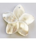 White mother-of-pearl 30 mm flower 5 petals 1 hole - BeauMonde Bijoux