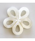 BeauMonde Bijoux - Nacre blanche 20 mm fleur ajourée naive