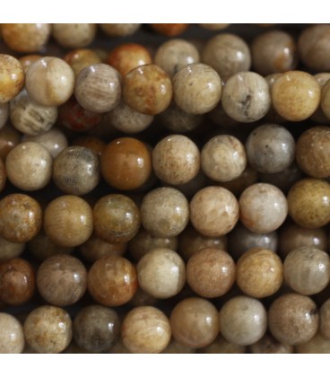 BeauMonde Bijoux - Jaspe fossile 6 mm environ perle ronde Indonésie