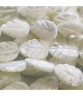 Nacre 9x12 mm environ feuille blanche Indonésie
