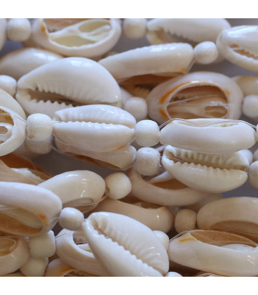 Off-white cowrie shell in pieces 17x11 mm - BeauMonde Bijoux