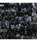 BeauMonde Bijoux - Obsidienne neige pierre chips 5/8 mm +/- environ Afrique