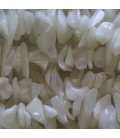 Baroque White Pearl - Indonesia
