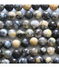 Opal Ocean 6 mm black/yellow Africa
