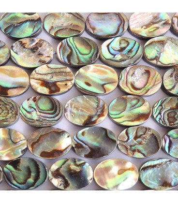 Abalone about 10x14 mm oval flat quality A New Zealand - BeauMonde Bijoux