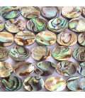 Abalone about 10x14 mm oval flat quality A New Zealand