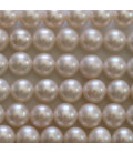 Freshwater pearl 8 mm round bead (almost round)