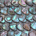 Abalone 10 mm coeur