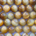 Oeil de tigre golden 10 mm environ perle ronde AA Afrique du Sud