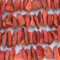 Corail éponge 14/15mm +/- environ chips mat