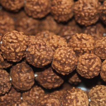 Rudraksha round bead about 10 mm - BeauMonde Bijoux