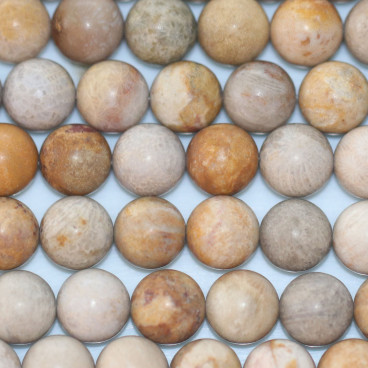 Jasper fossil 10 mm round mat bead Indonesia - BeauMonde Bijoux
