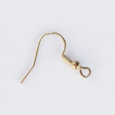 BeauMonde Bijoux - Boucle d'oreille crochet Américain 20mm acier inoxydable doré 304