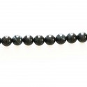 Falcon eye round bead 6 mm