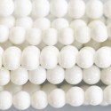 Coquillage 4 mm blanc perle ronde Indonésie