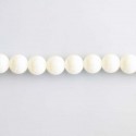 Coquillage 6/6.3 mm blanc perle ronde Indonésie