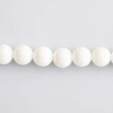 Shell pearl white round 8 mm