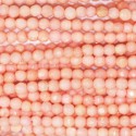 Bambou de mer teinté rose 2 mm perle ronde facettée Pacifique