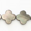 Nacre 18 mm trefle plat gris Tahiti