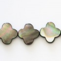 Nacre 15 mm trefle plat gris Tahiti