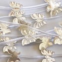Nacre 10x12 mm blanche papillon AA Indonésie