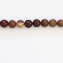 Petrified wood 6 mm round bead Madagascar - BeauMonde Bijoux