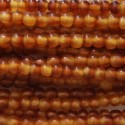 Corne golden 4 mm perle ronde