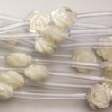 Nacre 10x17 mm poisson