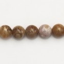 Agate Ocean fossil 10 mm round bead - BeauMonde Bijoux