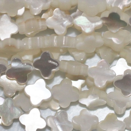 Mother-of-pearl 6 mm flat flower 4 petals iridescent quality - BeauMonde Bijoux