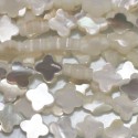 Mother-of-pearl 6 mm flat flower 4 petals iridescent quality - BeauMonde Bijoux